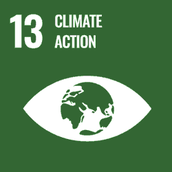 sustainable goal 13 climate action