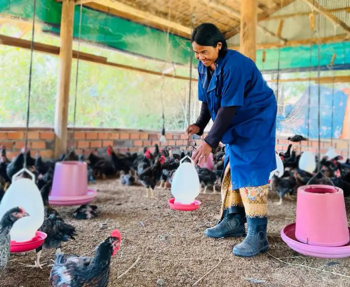 Poultry Outgrower Farmer Preap Rin secures an income to care for 9 household members.